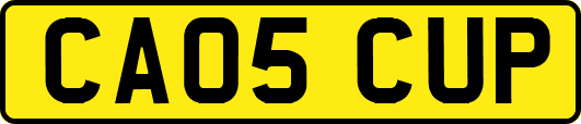 CA05CUP