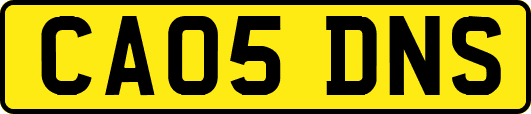 CA05DNS