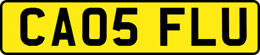 CA05FLU