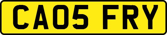 CA05FRY