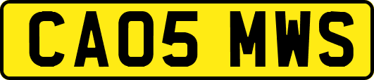 CA05MWS