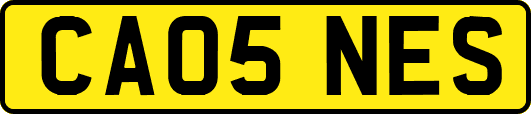 CA05NES