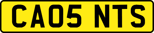 CA05NTS