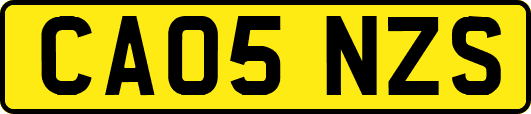 CA05NZS