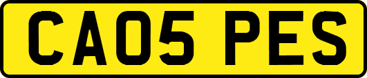 CA05PES
