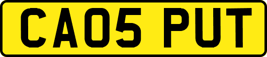 CA05PUT