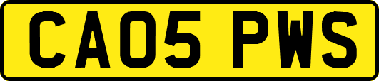 CA05PWS