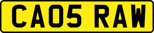 CA05RAW