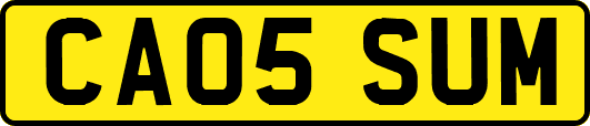 CA05SUM