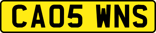CA05WNS