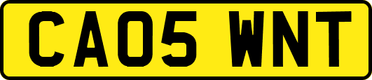 CA05WNT