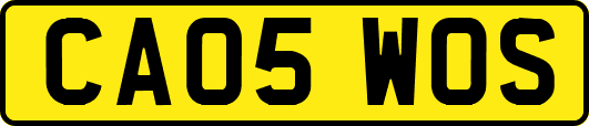 CA05WOS