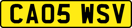 CA05WSV