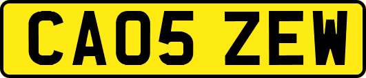CA05ZEW