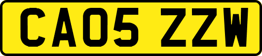 CA05ZZW