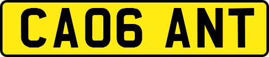 CA06ANT