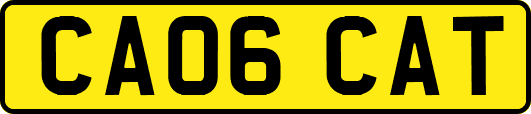 CA06CAT