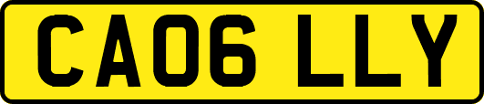CA06LLY