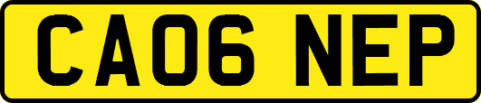 CA06NEP