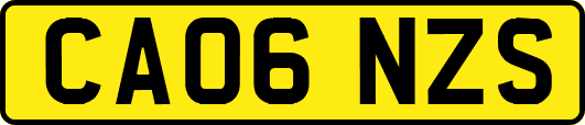 CA06NZS