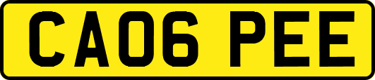 CA06PEE
