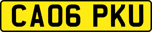 CA06PKU