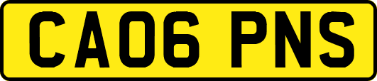 CA06PNS