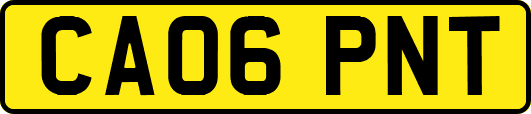 CA06PNT