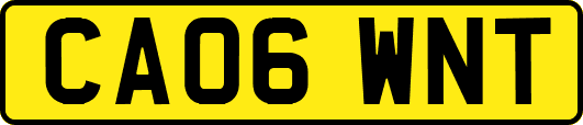 CA06WNT