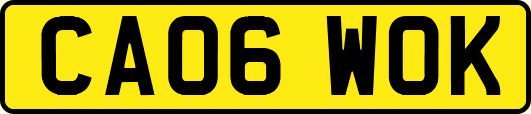 CA06WOK