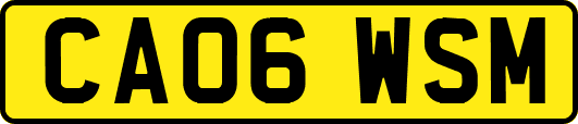 CA06WSM