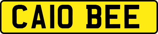 CA10BEE