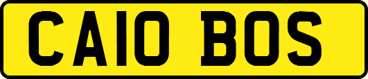 CA10BOS