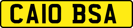 CA10BSA
