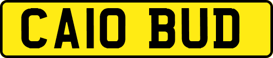 CA10BUD