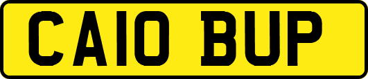 CA10BUP