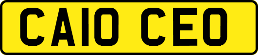 CA10CEO