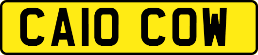 CA10COW