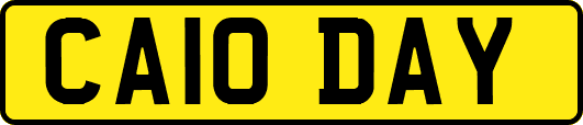 CA10DAY