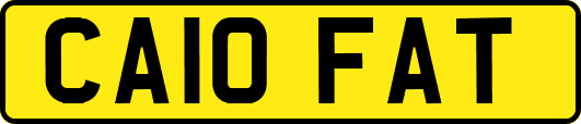 CA10FAT