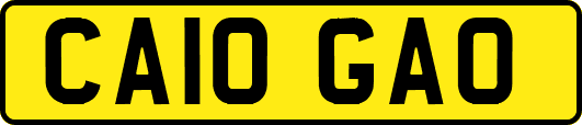 CA10GAO