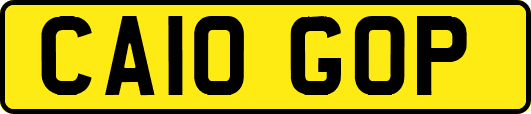 CA10GOP
