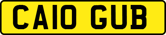 CA10GUB