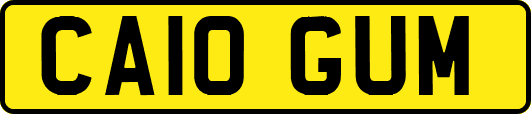CA10GUM