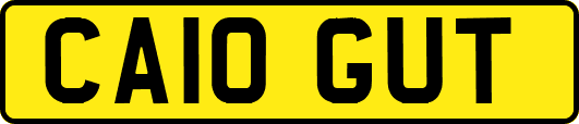 CA10GUT