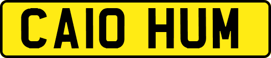 CA10HUM