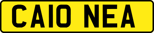 CA10NEA