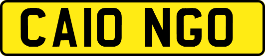 CA10NGO