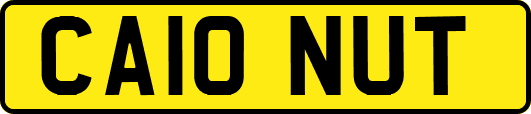 CA10NUT