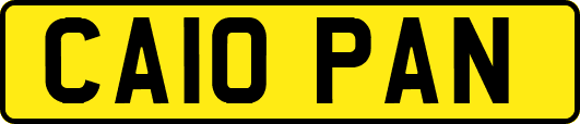 CA10PAN